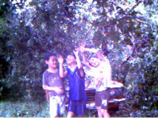 Standing under the tree